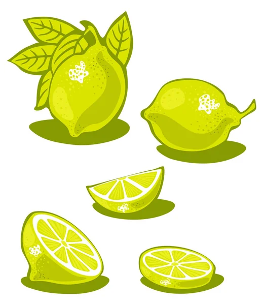 Набор Различных Лимонов Белом Фоне — стоковое фото