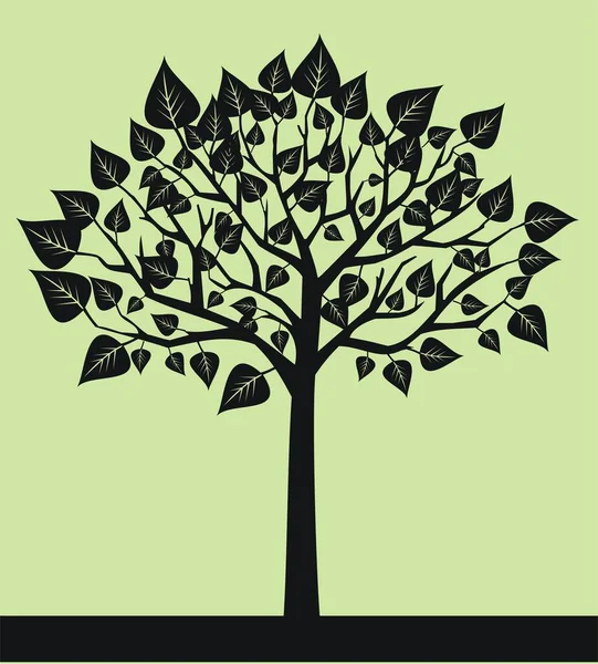 Дерево Листьями Зеленом Фоне — стоковое фото