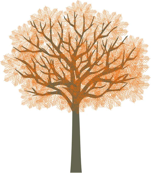 Illustration Arbre Automne Sur Fond Blanc — Photo