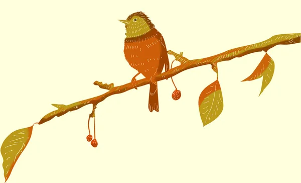 Σκιαγράφηση Πουλιών Σπουργιτιού Κλαδί Δέντρου — Φωτογραφία Αρχείου