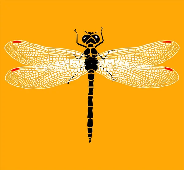 Dragonfly Siluett Ikon Stiliserad Logotyp Design — Stockfoto