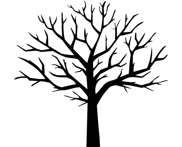 Czarno Biała Sylwetka Drzewa — Zdjęcie stockowe