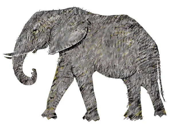 Illustrazione Cartoni Animati Elefante Africano Sfondo Bianco — Foto Stock