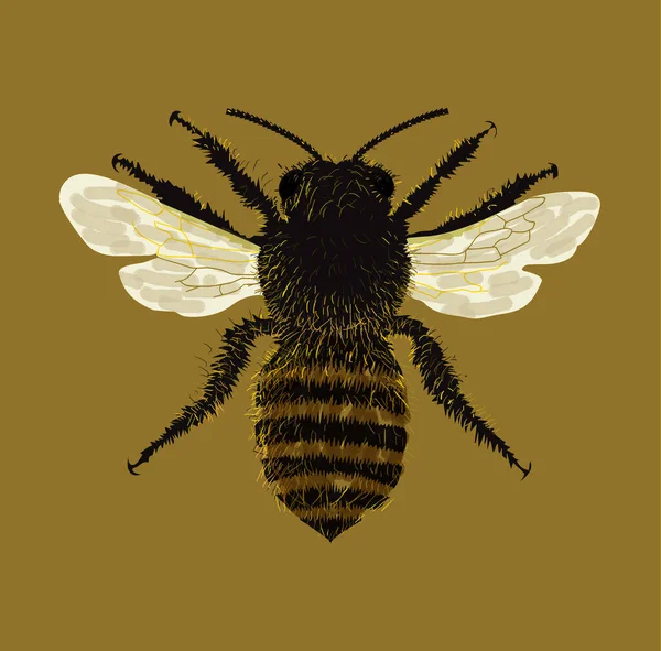 Bijenillustratie Bruine Achtergrond — Stockfoto