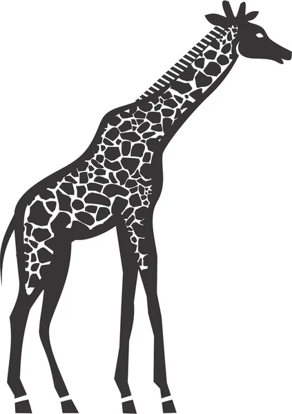 Giraff Silhuett Vit Bakgrund — Stockfoto