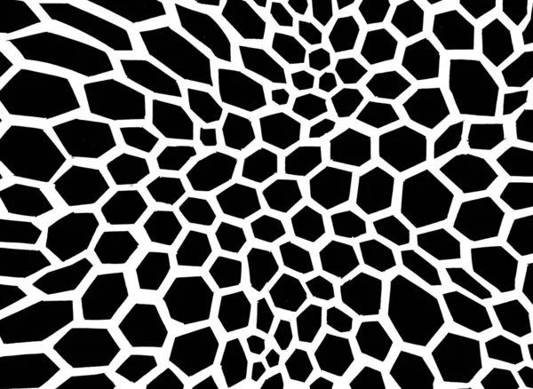 Seamless Pattern Background Black White Honeycombs — Stock Photo, Image