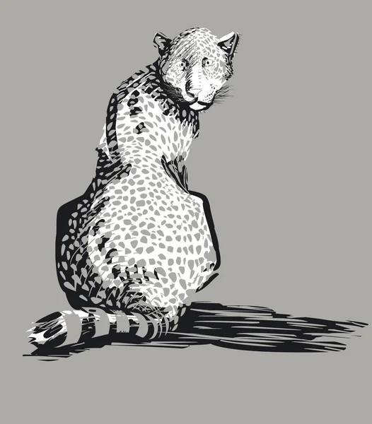 Ilustración Leopardo Sobre Fondo Gris —  Fotos de Stock