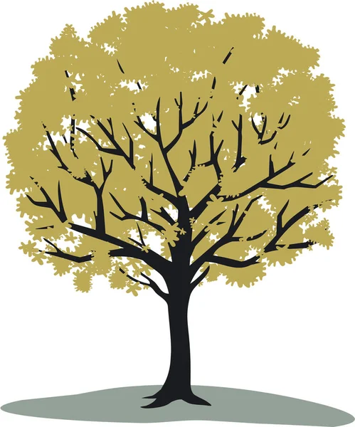 Ілюстрація Дерева Білому Тлі — стокове фото