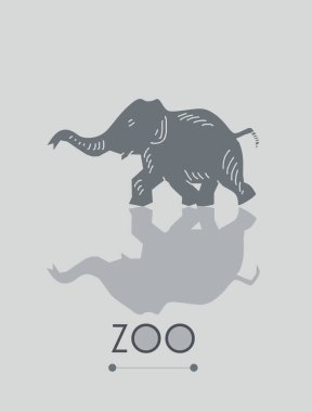 Gri arkaplanda fil resmi