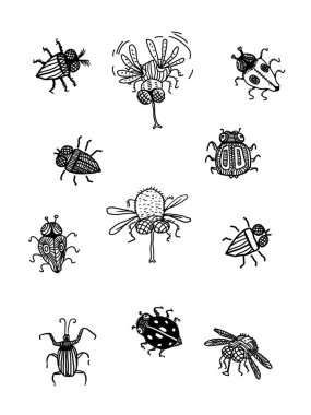 Bir grup böcek. beyaz arkaplanda izole