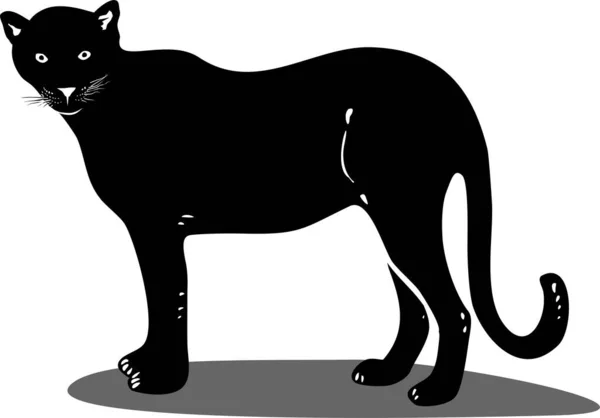 Handgezeichnete Doodle Illustration Des Panthers — Stockfoto