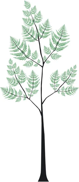 Illustration Beautiful Fern Leaf — Stock Photo, Image