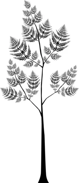 Illustration Beautiful Fern Leaf — Stock Photo, Image