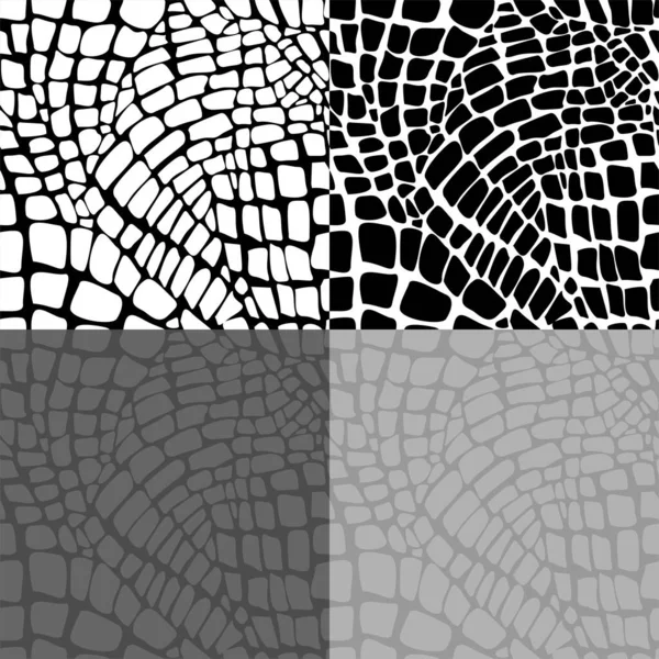 Abstract Black White Snake Skin Texture — Stock Photo, Image