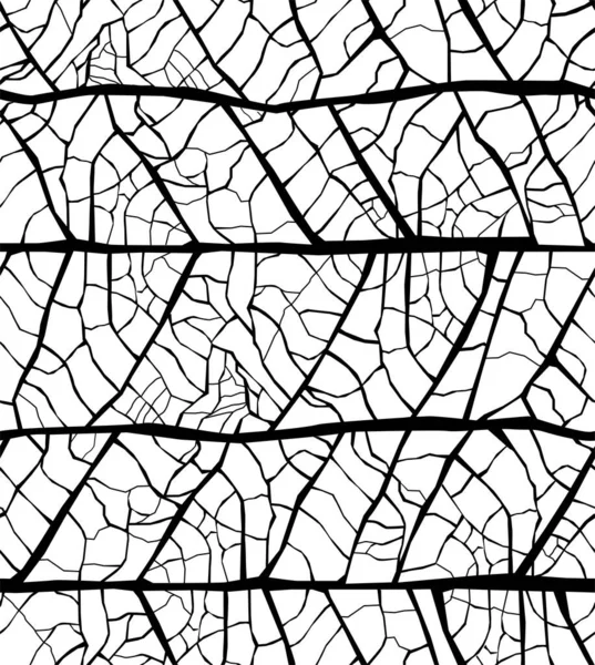 Black White Illustration Leaf — Stock Photo, Image