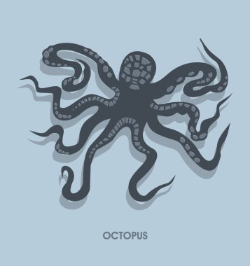 Mavi ahtapot basit bir çizim