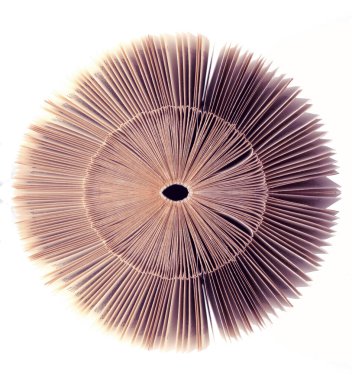 Eski klasiklerin üst görünümü