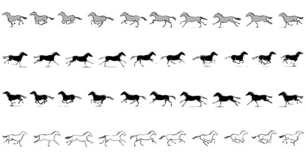 Набор Лошадей Бегущих Иллюстраций — стоковое фото
