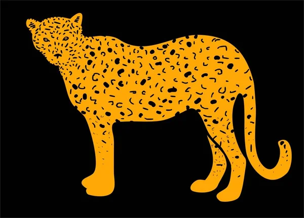 Leopard illustration on white background