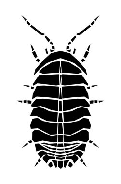 Düz çizimde böcek böceği simgesi