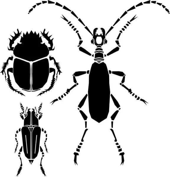 Elemento Diseño Dibujado Mano Escarabajos — Foto de Stock