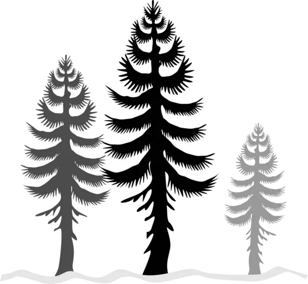 Beyaz Arkaplanda Bir Köknar Ağacı Çizimi — Stok fotoğraf