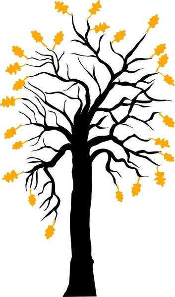 Drzewo Liśćmi Sylwetka Ilustracja — Zdjęcie stockowe