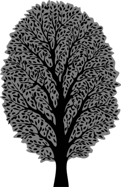 Дерево Иллюстрацией Силуэта Листьев — стоковое фото