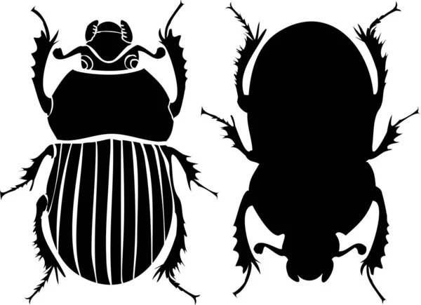 Elemento Diseño Dibujado Mano Escarabajos —  Fotos de Stock