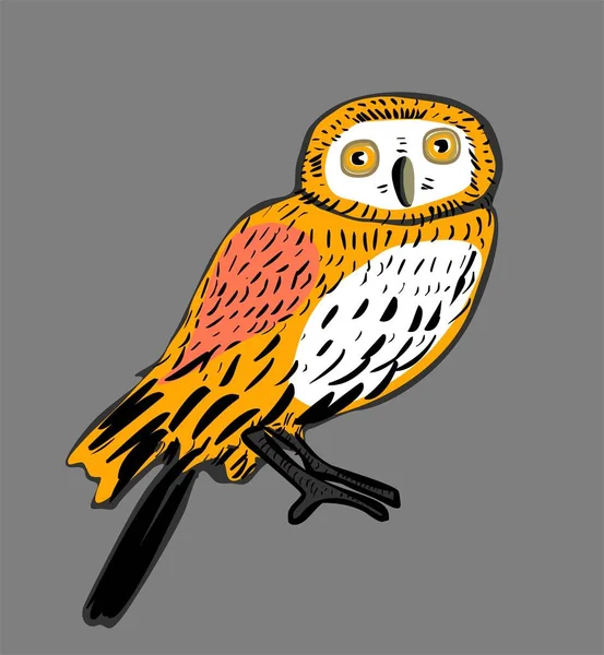 Illustration Mignonne Hibou Dessin Animé — Photo