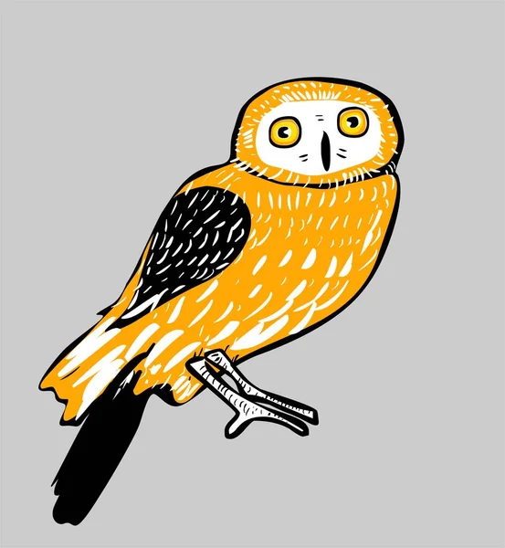 Sevimli Çizgi Film Baykuşu Çizimi — Stok fotoğraf