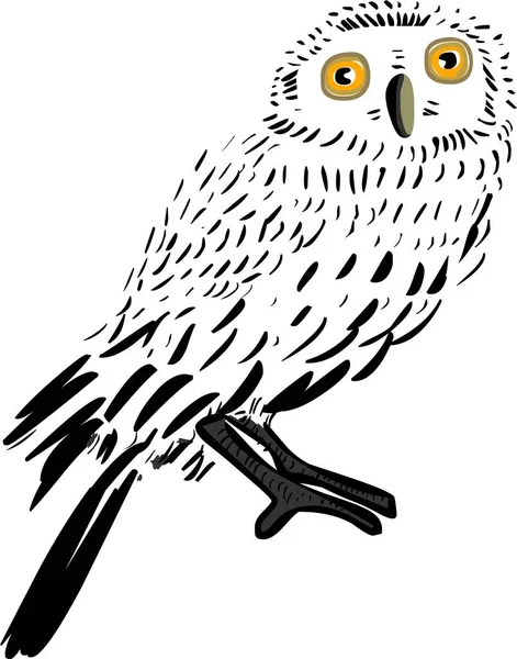 Sevimli Çizgi Film Baykuşu Çizimi — Stok fotoğraf