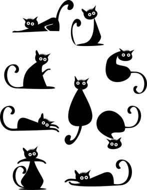 Bir grup komik siyah kedi.
