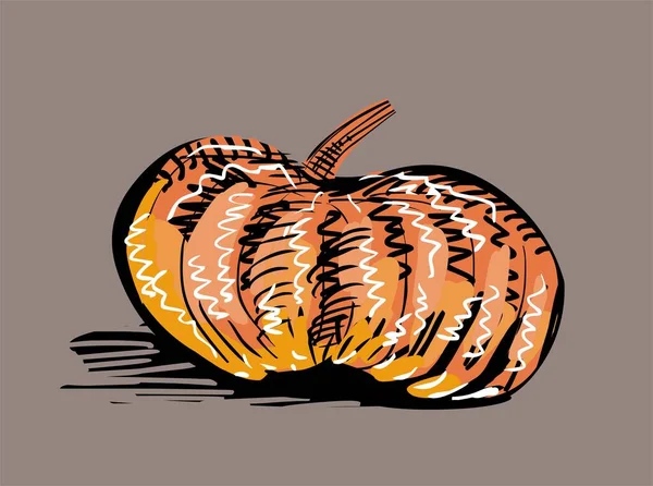 Orange Pumpkin Illustration Grey Background — Stock Photo, Image