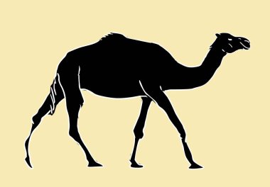 El yapımı tasarım ögesi - deve
