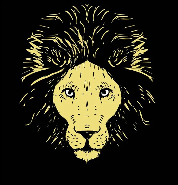Grafická Ilustrace Lví Hlavy — Stock fotografie