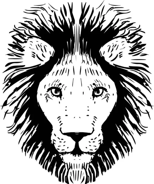 Lion Head Graphic Illustration — Stock Photo, Image