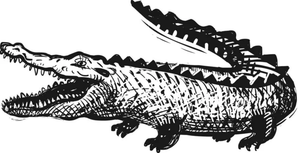 Ilustração Crocodilo Personagem Dos Desenhos Animados — Fotografia de Stock