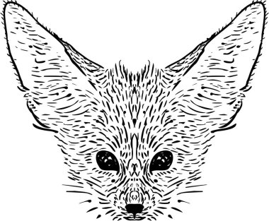 Fennec Fox illüstrasyonu