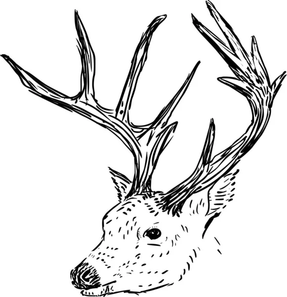 Niedliche Illustration Eines Hirsches Auf Weißem Hintergrund — Stockfoto