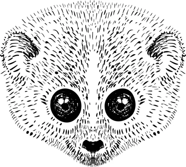 Ilustracja Głowy Małpy Loris — Zdjęcie stockowe