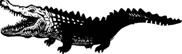 Rolig Tecknad Krokodil Vit Bakgrund — Stockfoto