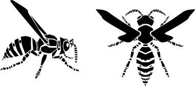 Beyaz arkaplanda yabanarısı simgesi