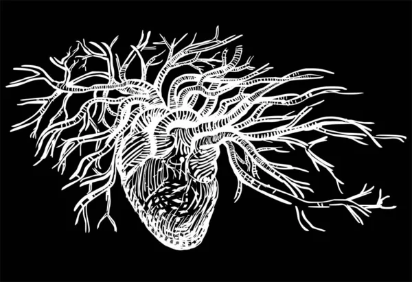 Ilustração Coração Humano Preto — Fotografia de Stock