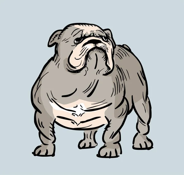 Funny English Bulldog Illustration — Stock Photo, Image