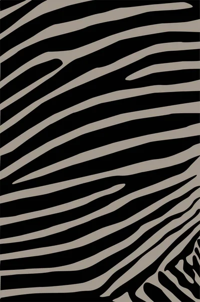 Abstract Zebra Skin Texture Background — Stock Photo, Image