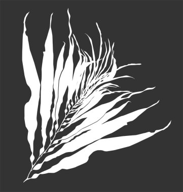 Deniz yosunu silueti, çiçek arkaplanı.