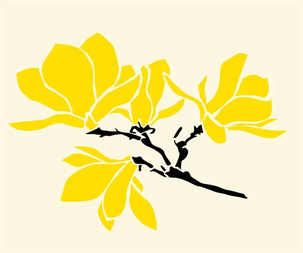 Κλάδος Magnolia Απεικόνιση Λουλουδιών — Φωτογραφία Αρχείου