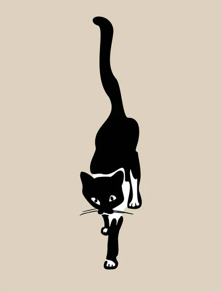 Illustratie Van Een Kattensilhouet — Stockfoto