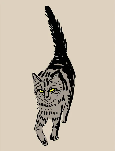 猫のシルエットのイラスト — ストック写真